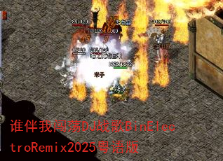 谁伴我闯荡DJ战歌BinElectroRemix2025粤语版 谁伴我闯荡DJ战歌BinElectroRemix2025粤语版