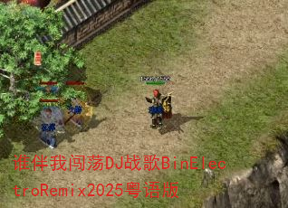 谁伴我闯荡DJ战歌BinElectroRemix2025粤语版 谁伴我闯荡DJ战歌BinElectroRemix2025粤语版