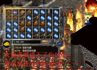 �����ź��ɲ������ƫ��ս���Ϊ�����ȼ��