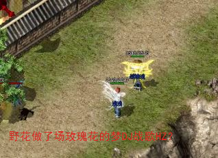 野花做了场玫瑰花的梦DJ战歌HZ? 野花做了场玫瑰花的梦DJ战歌HZ?