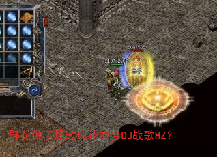 野花做了场玫瑰花的梦DJ战歌HZ? 野花做了场玫瑰花的梦DJ战歌HZ?