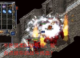 ��������DJս��棬�ܷ��ȼ���ս����Ѫ��