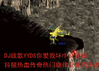 DJս��YYDS�㰮�һ����ĵ���������Ѫ�����������ɾ����ж�ȼ��