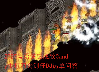 2025�����˸�ս��Candy�����Ļ�����DJ�ȵ��ʴ�