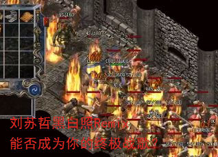 �����ܺڰ���Remix�ܷ��Ϊ����ռ�ս�裿