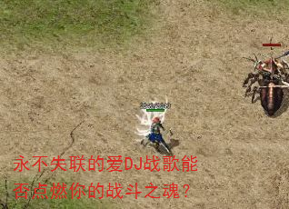 永不失联的爱DJ战歌能否点燃你的战斗之魂? 永不失联的爱DJ战歌能否点燃你的战斗之魂?