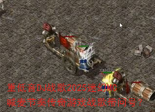 �ص���DJս��2025�Ի�MC������ഫ����Ϸս����ʺţ�