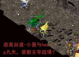 悲喜自渡-小曼与heap九天,谁能主宰战场? 悲喜自渡-小曼与heap九天,谁能主宰战场?