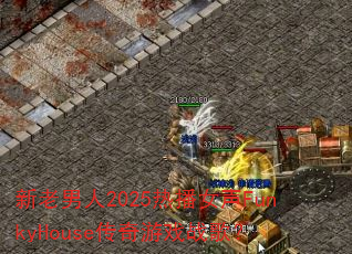 ��������2025�Ȳ�Ů��FunkyHouse������Ϸս�裿