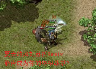 ����ķ�������Remix�ܷ��Ϊ����ռ�ս�裿