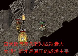 白天鹅与灰乌鸦DJ战歌豪大大版?谁才是真正的战场主宰 白天鹅与灰乌鸦DJ战歌豪大大版?谁才是真正的战场主宰