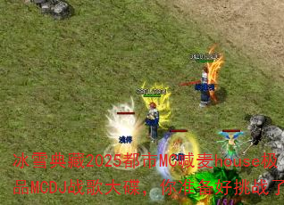 ��ѩ���2025����MC����house��ƷMCDJս��������׼������ս����