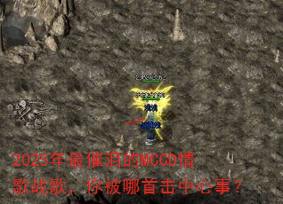 2025��������MCCD���ս�裬�㱻���׻������£�