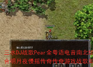 ��ˮDJս��Pearȫ��������ϱ��������ҹ��ҡ���洫����Ϸս���������