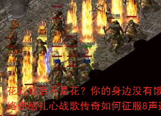 花到最后不是花?你的身边没有饿?2025网络伤感扎心战歌传奇如何征服8声道车载音乐? 花到最后不是花?你的身边没有饿?2025网络伤感扎心战歌传奇如何征服8声道车载音乐?